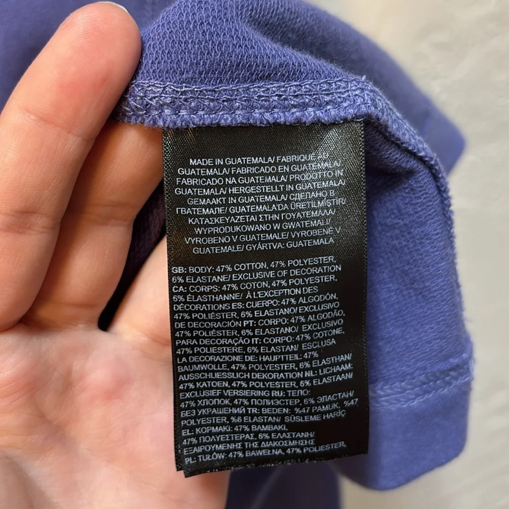 The North Face Blue Purple Slim Fit Hoodie Size L